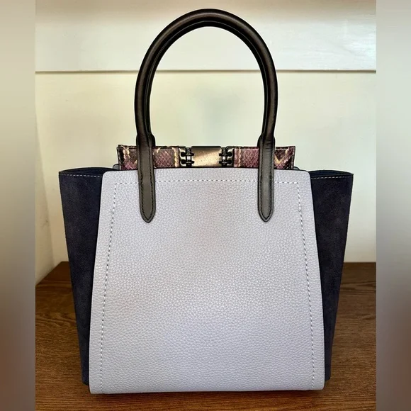 Coach 1941 Troupe Tote In Colorblock With Snakeskin Detail Pewter/Mist Multi - Picture 2 of 12